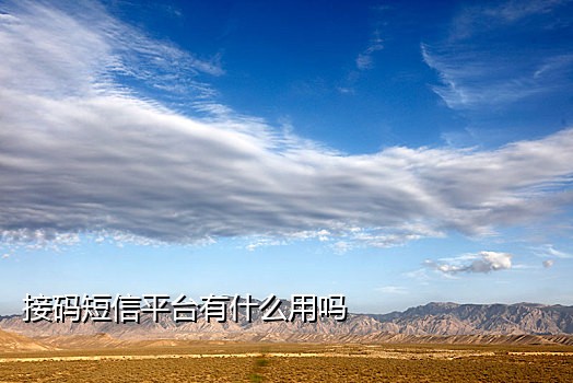 探探接码验证码透露?