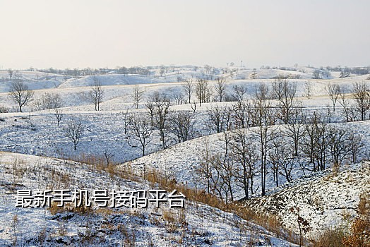 台湾接码短信平台