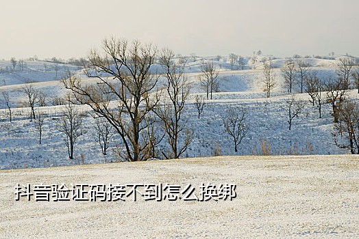 手机怎样无线接码网络