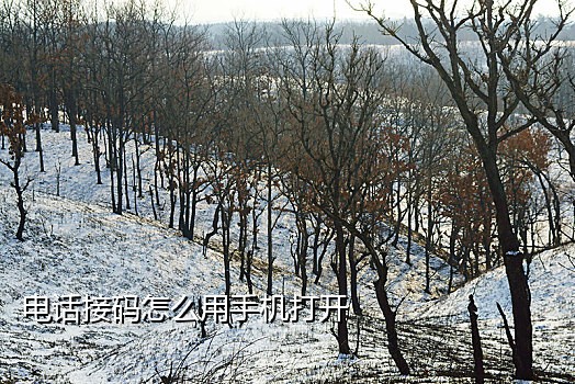 手机验证码接码工具怎么用