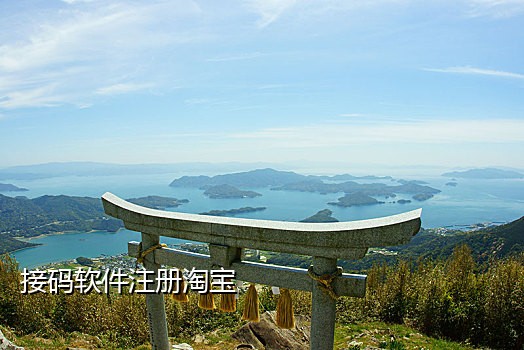 手机行接不到授权码