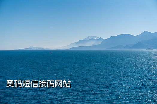手机实体新号接码