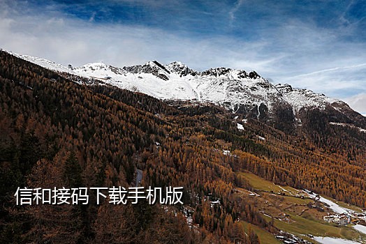 手机联通接不了验证码