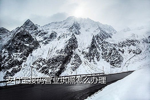 手机接码验证平台下载软件