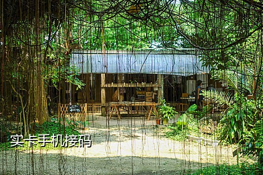 手机接发验证码