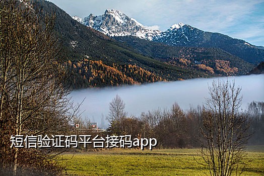 手机号验证接码手机版