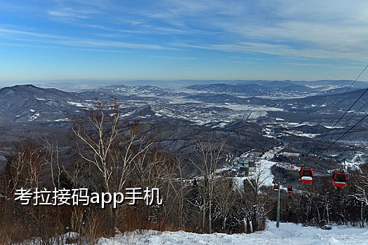 手机接不到app验证码短信