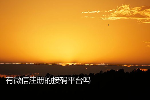 苹果手机接码渠道