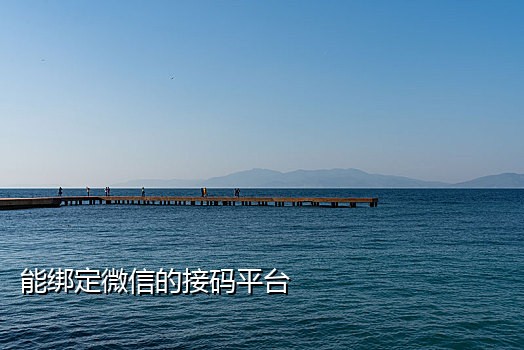 苹果手机接不到验证码短信