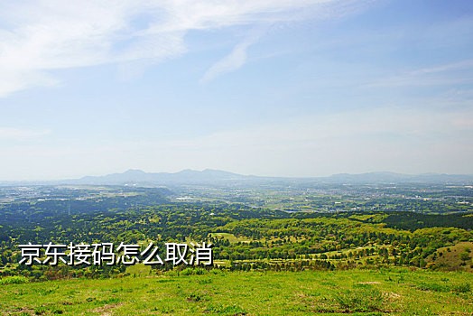 手机号怎么成邮箱接码