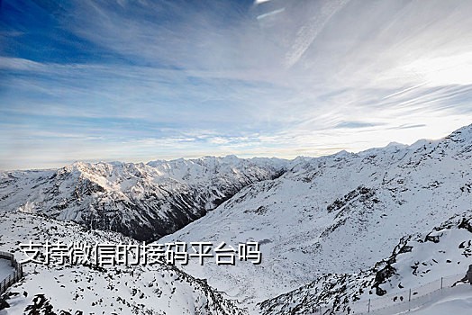 手机号在线接码平台