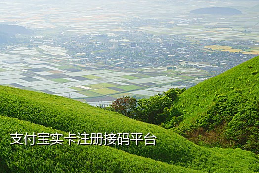 秒接短信验证码的平台