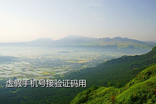免费接验证码手机号码