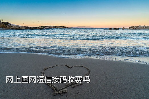 免费接码隐私短信软件