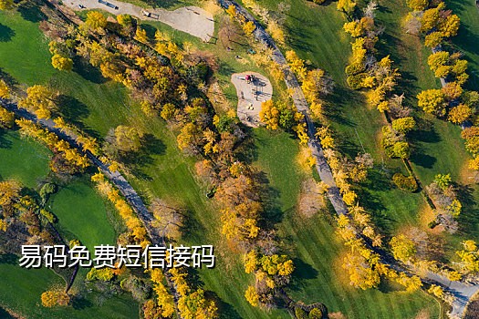 手机号码接码诈骗