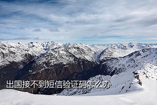 免费接码app苹果版官网