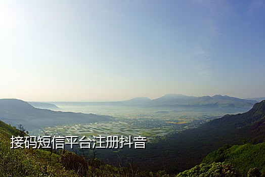免费代接中国短信验证码软件下载