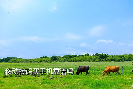 没手机号怎么接验证码
