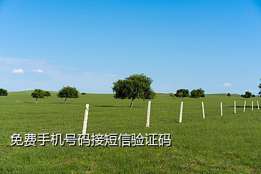 马来手机接码平台
