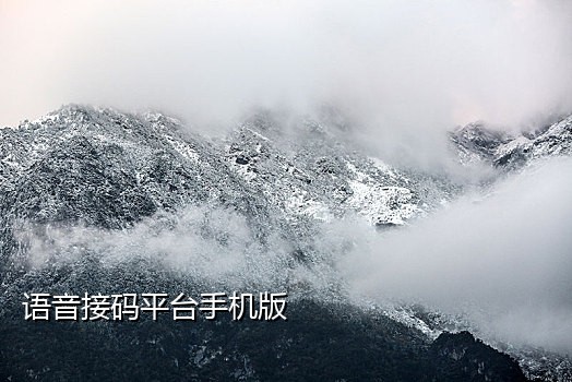 流星接码短信平台注册不了