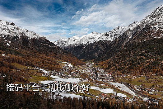 手机号接验证码