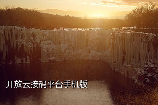 手机号接码注册平台官网