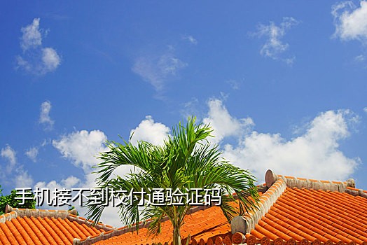 快手接码频繁怎么办