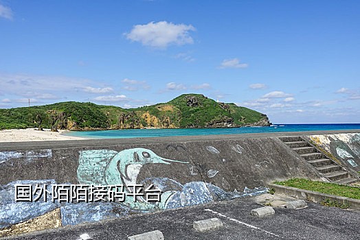 可设定手机号码的接码