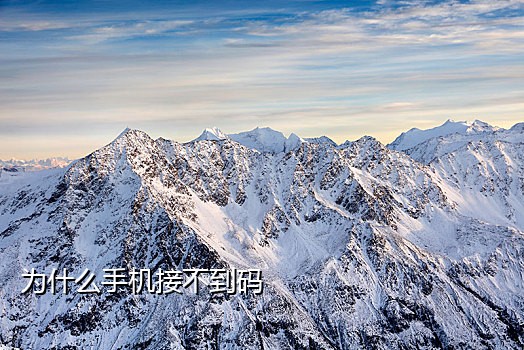 接验证码的美国手机号