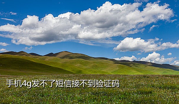 接码指定手机号