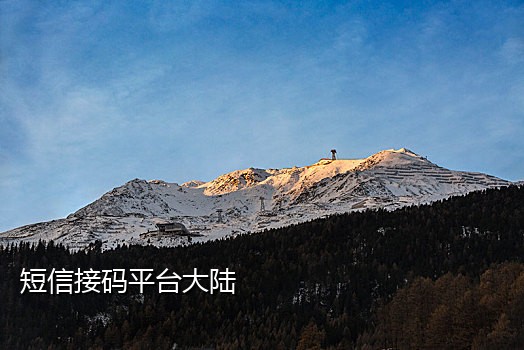 接码软件手机软件哪个好