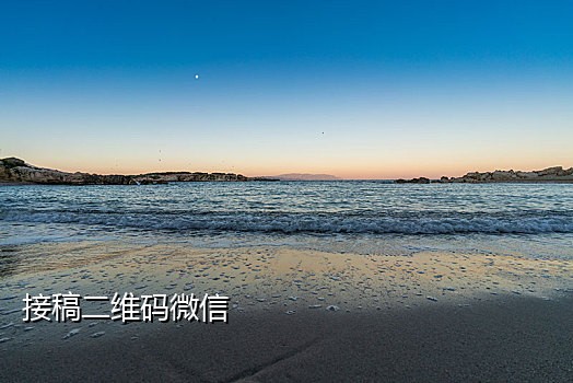 接码软件手机版