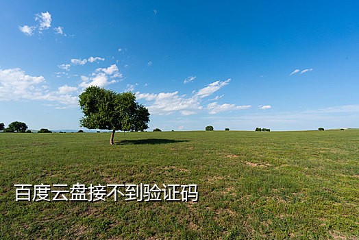 接码平台手机号有多少