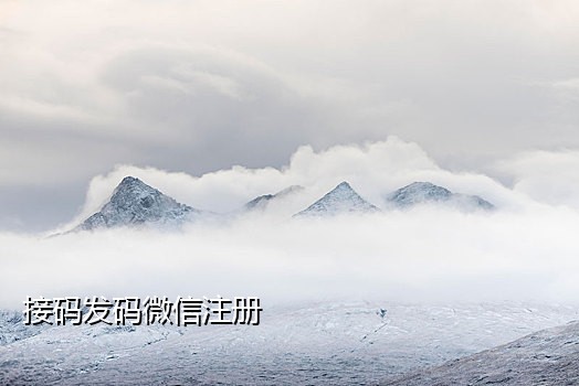 接码快手二次