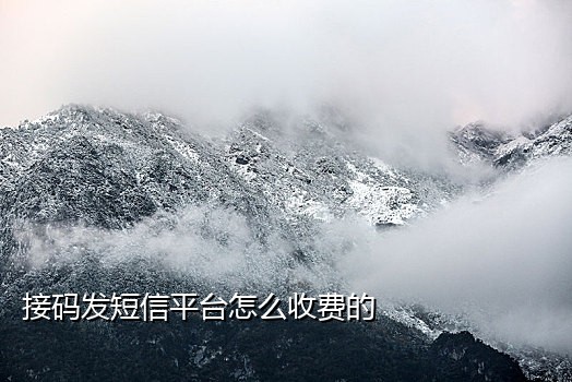 接码短信平台是啥意思呀