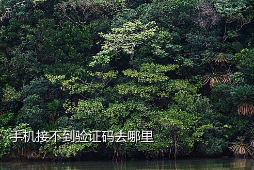 接码短信被屏蔽