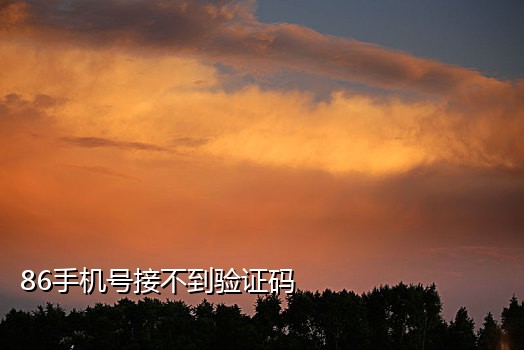 接大众点评验证码