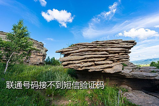 接不到nike验证码