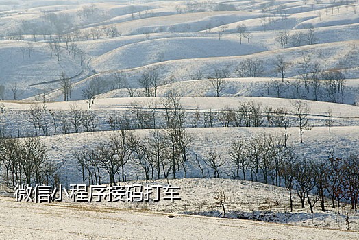 花生云接码平台手机端