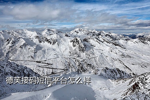 国际手机接码平台