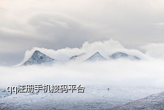 共享接码客服QQ多少