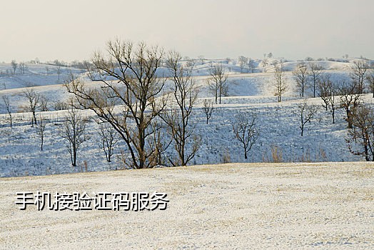 饿了么接码号