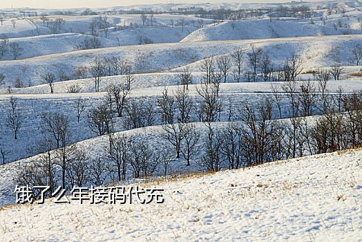 短信验证码在线接码平台