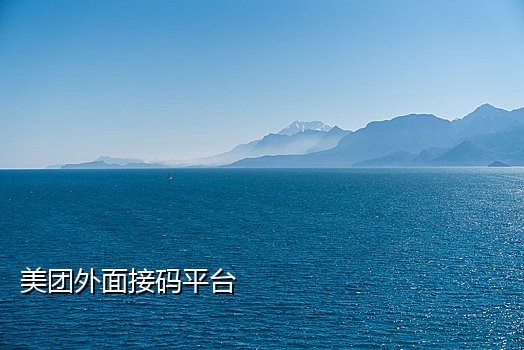 短信验证接码什么意思