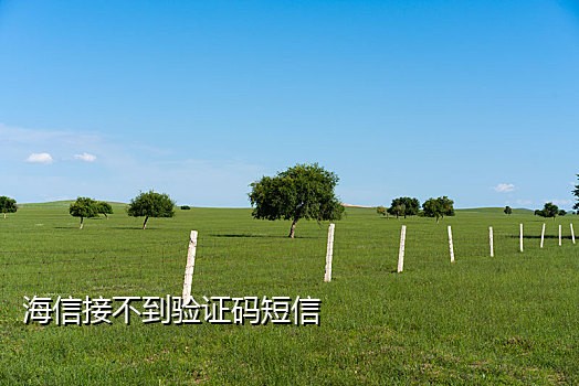 抖音接码验证码