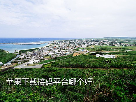 抖音接码靠谱吗