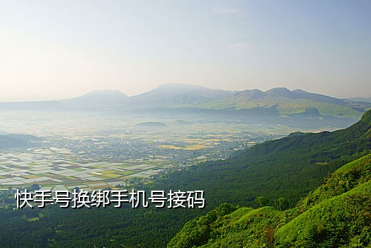 抖音接码发卡网