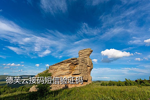 爱信手机版接码