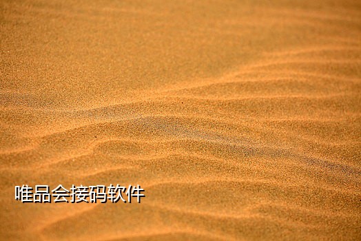 爱加速接码app