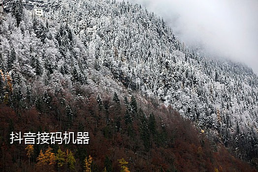 上海首次京东接码商